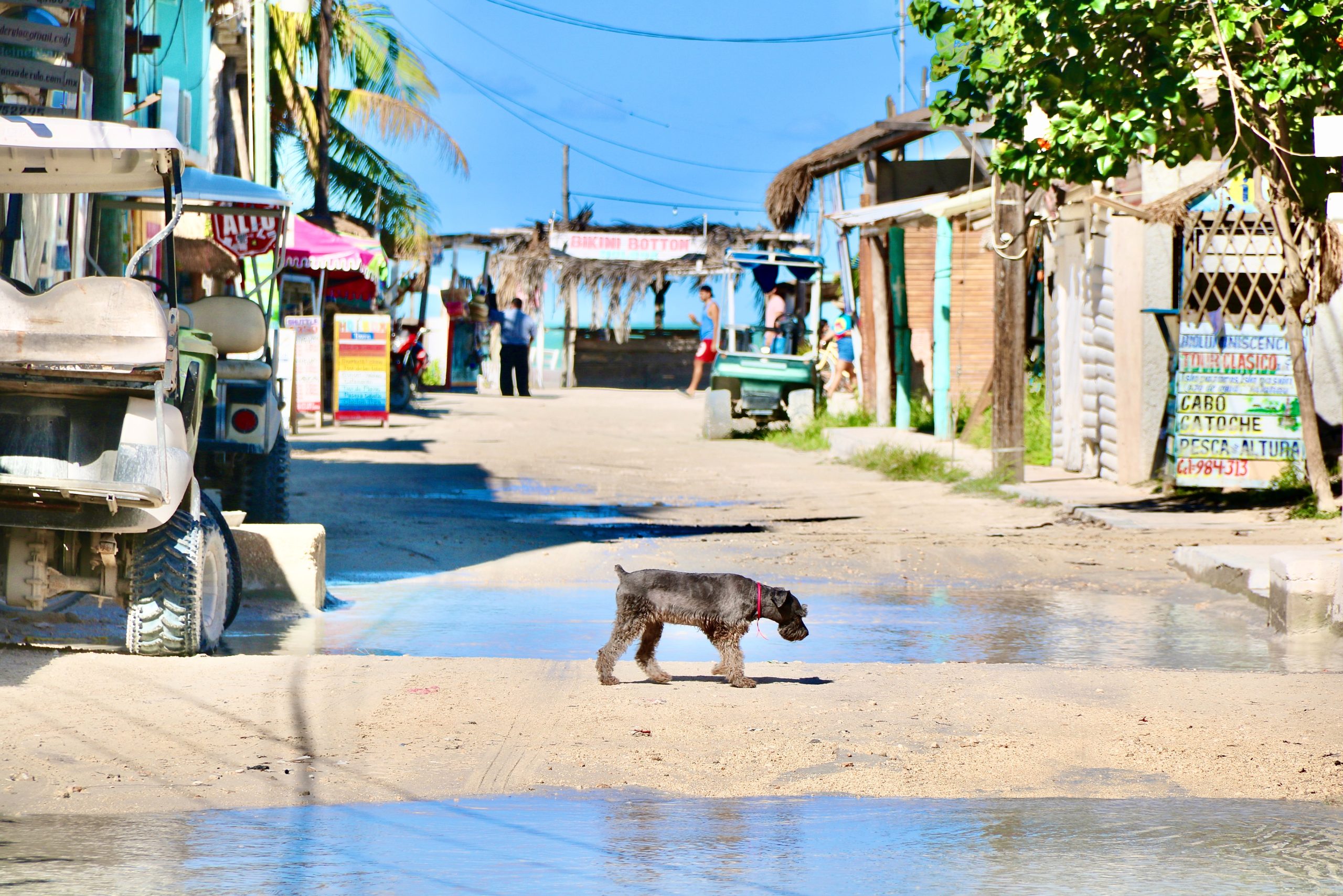 Wyspa Holbox w Meksyku – co można robić na rajskiej wyspie?